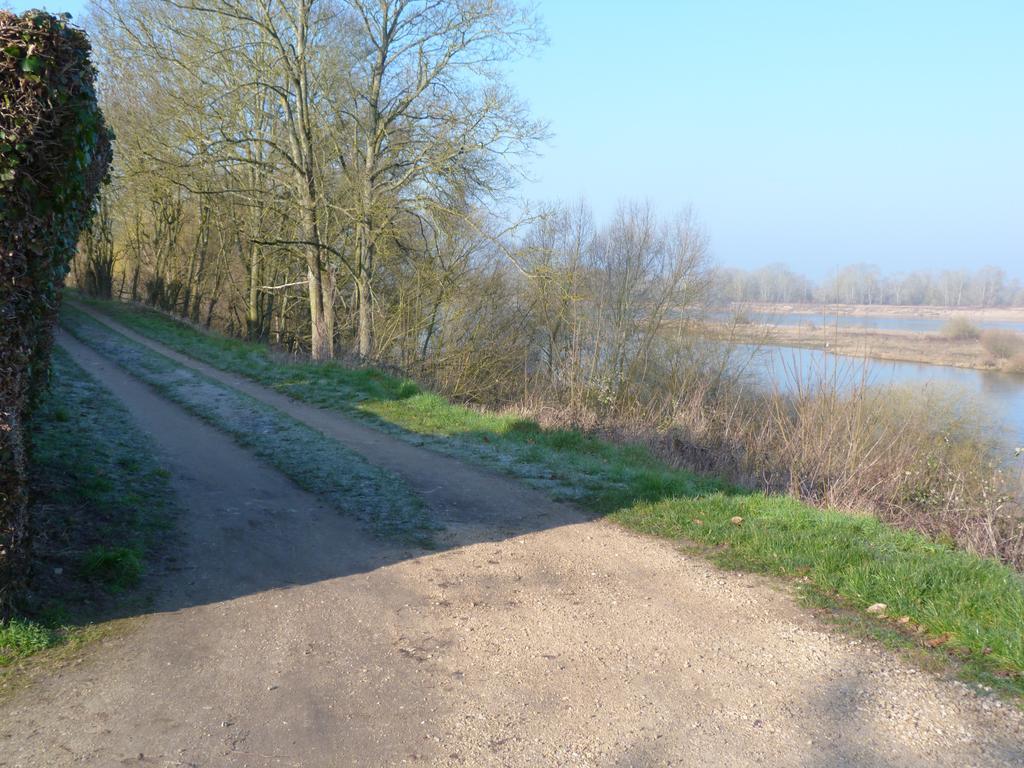 Les Gites De Colliers Muides-sur-Loire Стая снимка