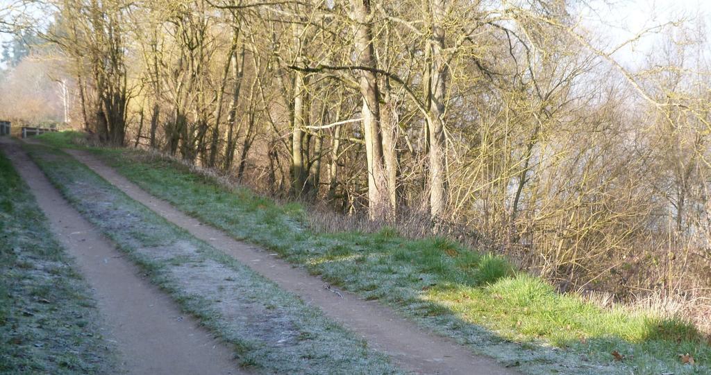 Les Gites De Colliers Muides-sur-Loire Стая снимка